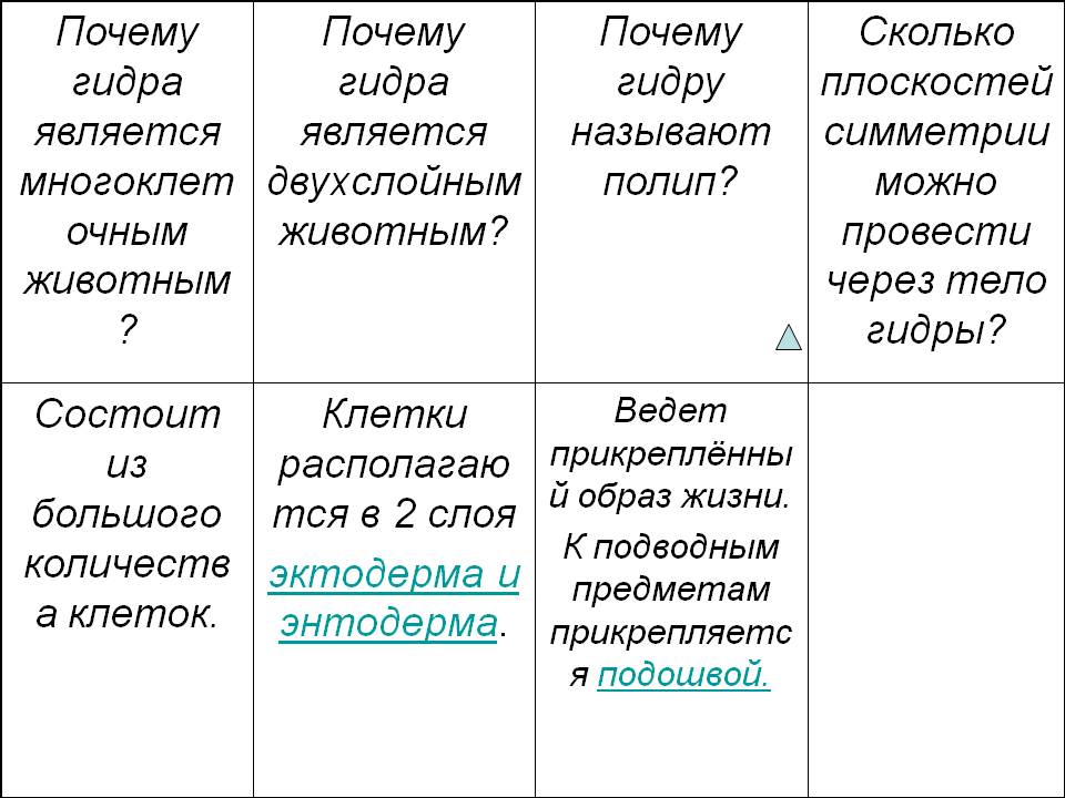 Рабочее зеркало на кракен