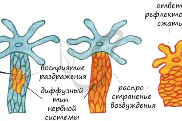 Кракен онион ссылка на тор