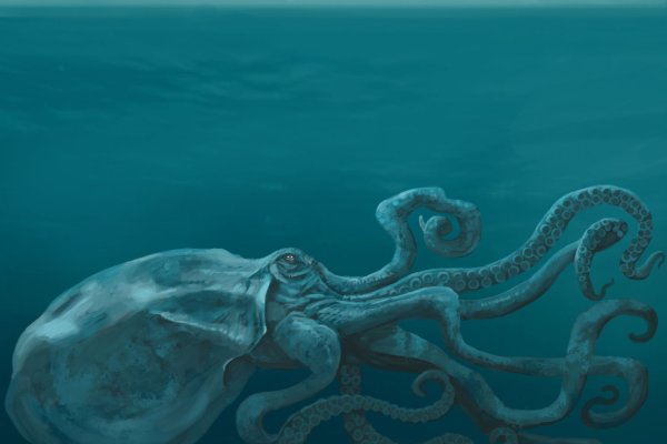 Kraken магазин