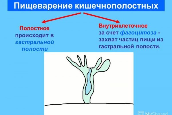 Кракен это современный даркнет маркетплейс