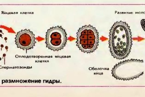 Не приходят деньги на кракен